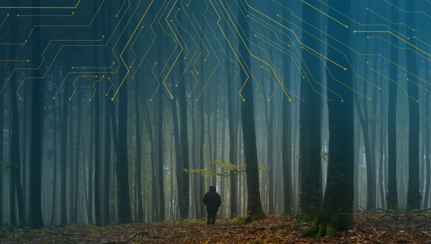 GoWestIT_9-23-Blog-100 - Go West IT A solitary person walks down a misty forest path as tall trees surround them, with yellow circuit-like lines across the treetops suggesting technology blending with nature.